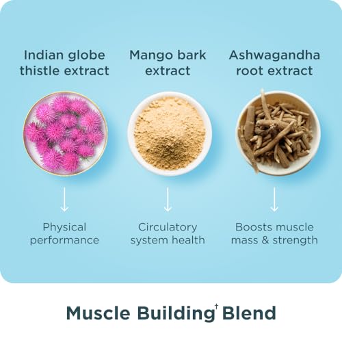 Ancient Nutrition Multi Collagen Protein Capsules