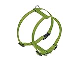 Nobby Geschirr Classic, Lindgrün Brust: 20/35 cm, B: 10 Mm, 1 Stück