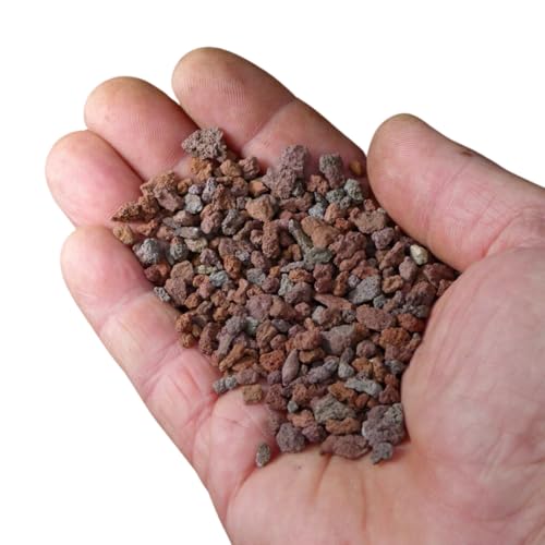 BonsaiPro Lapillus Optima Lapillo Vulkan Substat, Mulch, für Zierpflanzen und Bonsai Extra feine Körnung