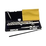 wueiooskj Flûte piccolo sportive en do majeur, son clair et brillant, légère et compacte, idéale pour les musiciens débutants. Piccolo à 16 trous, instrument traditionnel, Argent, 31.5 x 1.3 cm