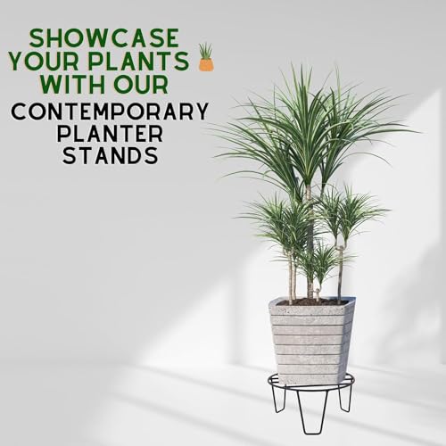 Image of Black Color Strong Legs Metal Round Stands for Plant Pot Flower Pot Round Stand for Planter Stand Long Plant Stand and Round Stand(Set of 5 Stands)