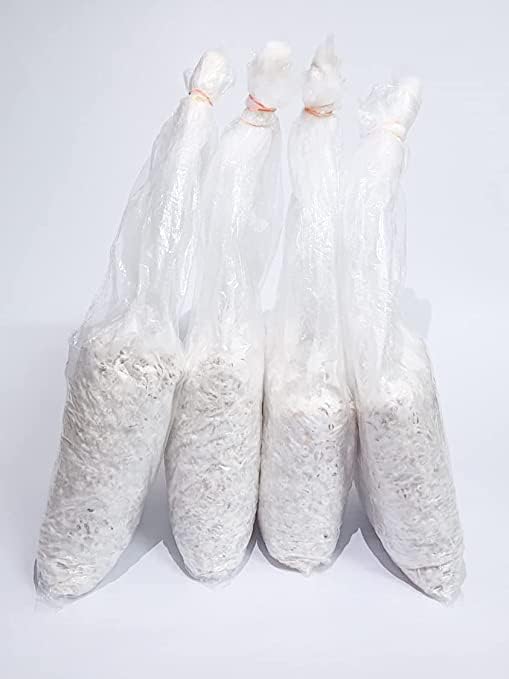 MYDIL Oyster Mushrooms Spawn, Grain Seeds, First Generation High Yield White Mycelium Spores, Edible CO2 Variety (5 Kg) (B0DD7XJ1L4) Amazon Price History, Amazon Price Tracker
