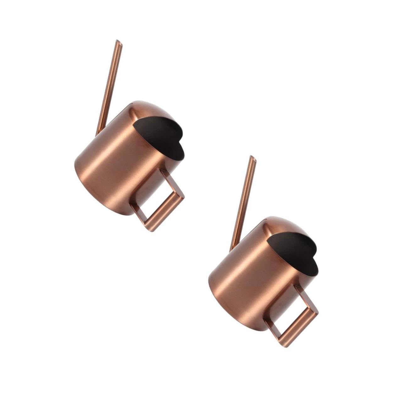 UPKOCH 2 Pezzi Annaffiatoio Annaffiatoi Da Giardino Nebulizzatori Per Interni Lattina Di Annaffiatura Di Fiori Signore Delle Piante Annaffiatore Di Piante Light Brown Acciaio Inossidabile