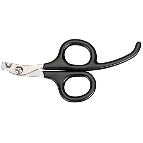 Image of Master Grooming Tools Pet Nail Scissors with Finger Rests-Stainless Steel Scissors for Trimming Nails on Cats and Birds - Small, 3 inch