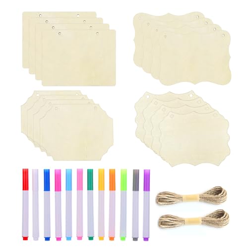 16 placas de madera, 2 cuerdas de cáñamo, 12 lápices de colores, virutas de madera colgantes multiformas, placas de puerta de madera, carteles de color blanco para bricolaje, placas colgantes de
