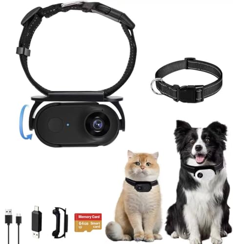 YourCatsGoodies Cat Camera Collar Catcampro™ POV 4 Hour 1080p HD Video Recording Pet-Friendly Cat Action *1M+ Social Media Followers* Indoor/Outdoor Camera No WiFi Needed (Black with SD Card)