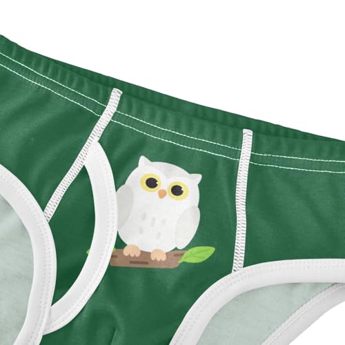 Cute Owl Bird Green Toddler Boy's Underwear 2T 23022364