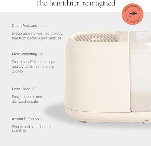Image of Canopy Large Room Humidifier, Moonstruck, Large Living Space, 36HR Run Time, 5.5L Tank - Includes Canopy Humidifier Plus, Diffusion Well, Unwind Aroma, Filter, Power Cord & Adapter