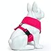 EcoBark Pink Dog Harness - Max Comfort Luxurious Soft Mesh - Over The Head No Pull & No Choke Halter Harness Vest - Eco-Friendly Body Harness