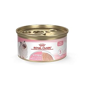 Royal Canin Feline Health Nutrition Kitten Loaf in Sauce Canned Cat Food, 3 Ounce (Pack of 24)