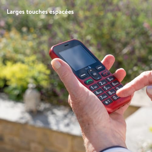 Doro - Leva L10 - Téléphone Portable Senior - Téléphone 4G Débloqué - Grand Écran - Son HD Puissant - Appareil Photo - Touche d'Assistance avec GPS - Socle Chargeur Inclus - Graphite