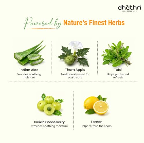 Image of Dhathri Dheedhi Lime Shampoo with Lemon, Tulsi, Amla & Thornapple | Anti-Fungal & Anti Dandruff Herbal Shampoo for Men & Women | Sulfate & Paraben Free | All Hair Types, 250ml