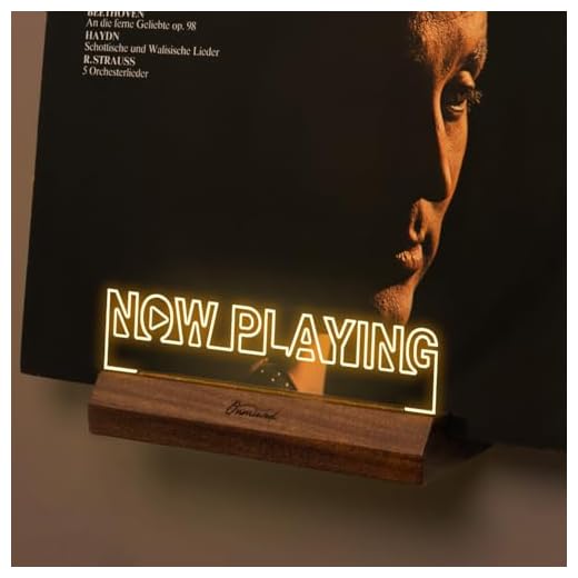 Light Up Vinyl Record Display Stand