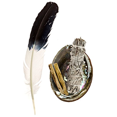 Feather Fanning Kit With Abalone Shell, Medium California White Sage, And Palo Santo #TOP23