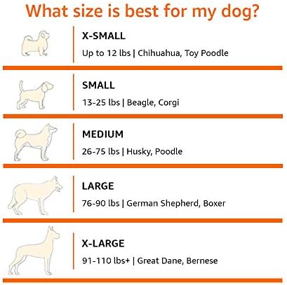 Amazon Basics Pet Sofa Lounger Bed, Medium
