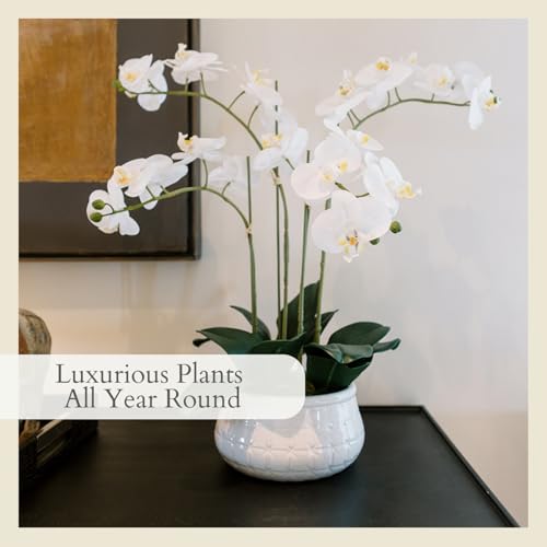 Image of CG Hunter, Faux White Orchid Plant, 23 in, White, Home Decor