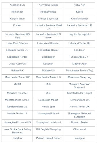 Image of Dog Breed DNA Test Kit | Identifies 430+ Dog Breeds & Types | 174,000 Genetic Markers Analysed | Includes MDR1 Test & Breed Certificate | Home Cheek Swab Collection Kit for 1 Dog
