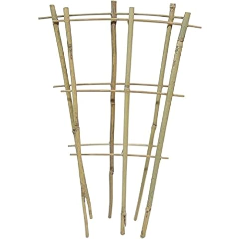 HaziQ Bamboo Pot Ladder Trellis (Pack of 3) Cover