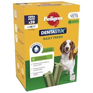 PEDIGREE DENTASTIX Fresh – Dental Dog Chews – Medium Dogs 10-25kg – 4 x 28 Sticks – Megapack of Dog Dental Sticks