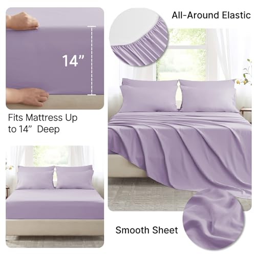 Anluoer Queen Comforter Set,Lavender Bed in a Bag 7 Piece,Lightweight Bedding Set with Soft Down Alternative Fill,Bed Set Includes Comforter, Fitted Sheet, Flat Sheet,Pillowcases and Shams