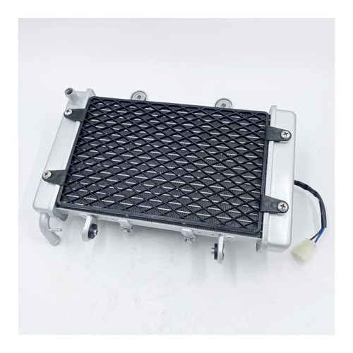 Radiador de agua con ventilador para moto XY250-9E de 250 cc