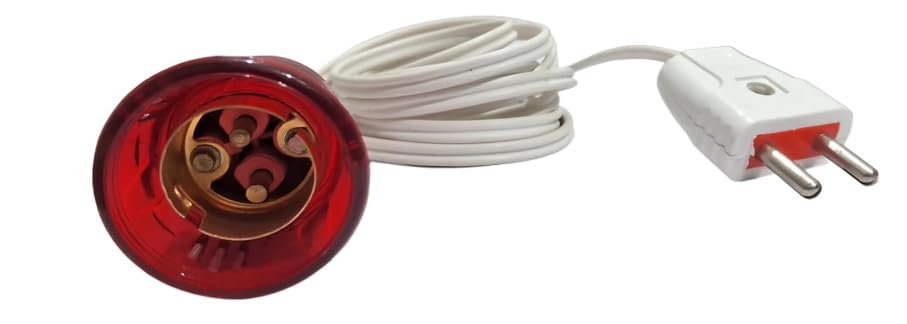 Veryspare Holder Flame Bulb for Mandir/Temple, Art Cafe Resturant Decoration bulb with Hanging Holder/2meter wire/plug 2