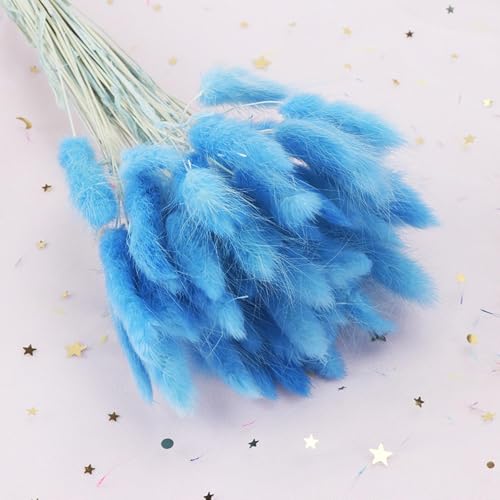 Decoración Boho 60Pcs Hierba Cola de Conejo Seco 40cm miniatura 1