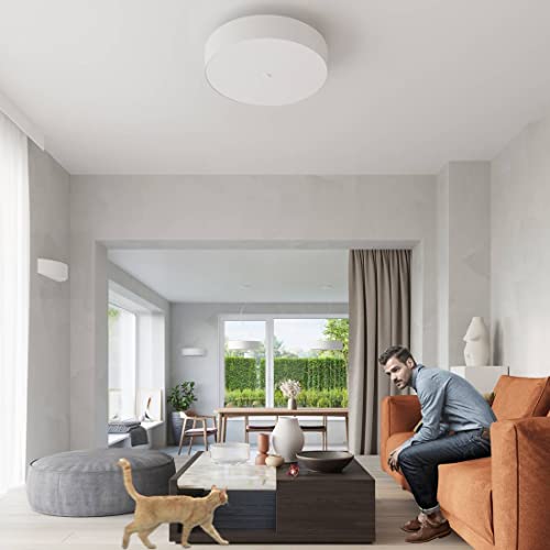 Plafonnier SCALE 50 Sollux blanc E27 dimmable pour un éclairage de salon modulable