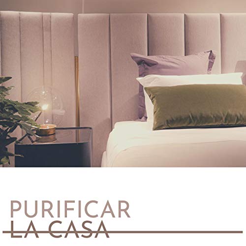 Purificación del Ambiente ⭐