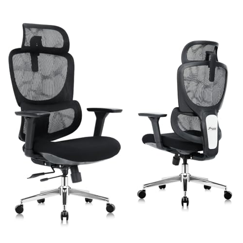 Heavy Duty Ergonomic Office Chair with Recline