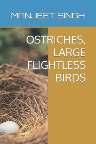 OSTRICHES, LARGE FLIGHTLESS BIRDS