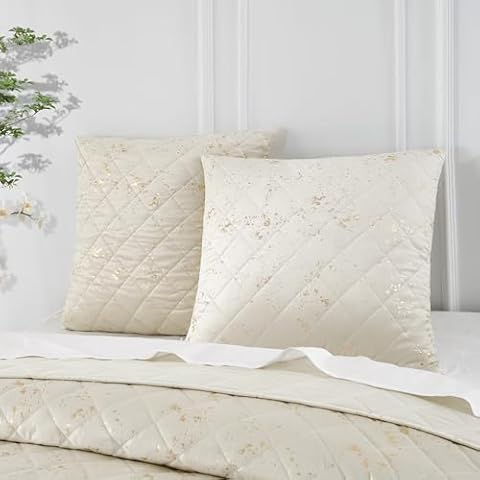 Querencia Velvet Euro Sham Covers Cover
