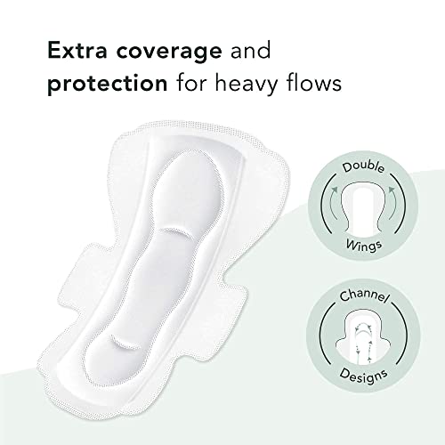 Rael Period Bundle - Organic Cotton Cover Pads (Large, 24 Count) & Liners (Regular, 44 Count) #TOP1
