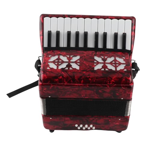 Fisarmonica IRIN a 8 bassi e 22 tasti, strumento musicale per bambini principianti. Adatta a bambini alti 110-140 cm o principianti.