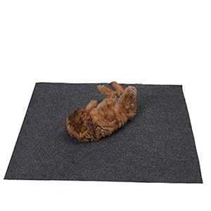 Whelping Box Liner Matwashable and Reusable Puppy Padpremium Absorbent Urine Pet Matunder the Dog Crate Matprotect Your Floor Furniture or Any Other Area from Liquid Leakage 36×238 Cucciolini Doodles Whelping box liner matwashable and reusable puppy padpremium absorbent urine pet matunder the dog crate matprotect your floor furniture or any other area from liquid leakage 36×23 8 cucciolini doodles