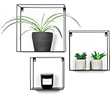 ✅ EINSATZBEREIT - Man kann sofort mit dem Verschönern und Dekorieren der Wohnung anfangen, da 6 schwarze Schrauben und 6 Dübel inklusive sind.