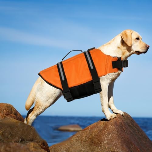 Hunde-Lebensjacke – reflektierende Schwimmjacke, atmungsaktiv und verstellbar | Wasserweste für Hunde zum Schwimmen, Pool, Kajakfahren, Rafting und See-Abenteuer