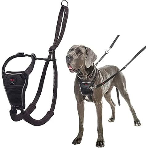 HALTI No Pull Harness for Large Dogs Cover
