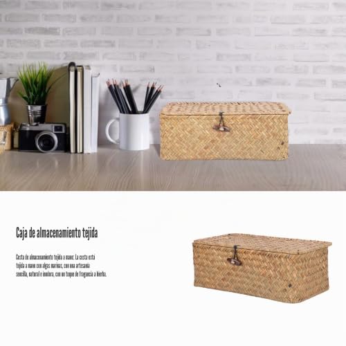 Cesta de almacenamiento de pasto marino SIXRUN M rectangular con tapa 7
