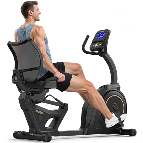 Niceday Recumbent Exercise Bike, Recumbent Bike for Home, Recumbent Stationary Bike 400LBS Weight Capacity, Magnetic Recumbent Bike with Smart APP, LC