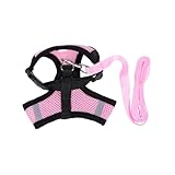 Gilet pour animaux de compagnie - ce harnais pour animaux de compagnie est adapté à tous les temps tout long de l'année, sangle de poitrine arrière