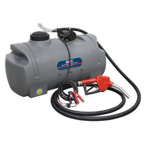 Preisvergleich Produktbild Tragbarer Dieseltank 100L 12V