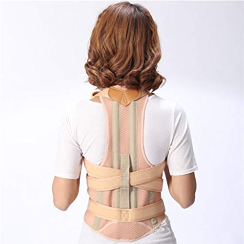 back straightener device