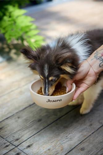 JOSERA Mini Adult Lachs & Huhn (1 x 10 kg) | Premium Trockenfutter für ausgewachsene Hunde Kleiner Rassen | mit Biotin | kleine Kroketten | mit leckerem Soßenpulver auch nass zu verfüttern | 1er Pack