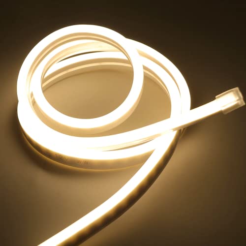 Mangueira 5m Fita Led Neon Corte Flexível 12v + Fonte 5A (Branco Quente)