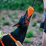 Dingo Hundespielzeug Mop 19 x 7 cm mit Bungee Griff 41 cm Agility Apporte Motivation Spiel mit Hund Training Orange 15673
