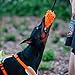Dingo Hundespielzeug Mop 19 x 7 cm mit Bungee Griff 41 cm Agility Apporte Motivation Spiel mit Hund Training Orange 15673