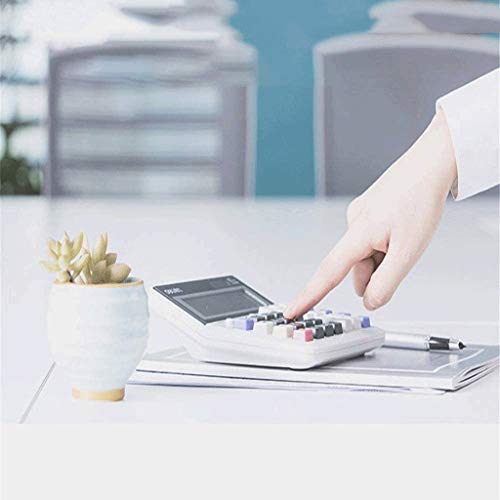 Calcolatrice da Tavolo Professionale di Grandi Dimensioni a 12 cifre, Display LCD inclinabile Alimentato a Batteria e Ibrido Solare, Ideale per l'uso in casa e in Ufficio