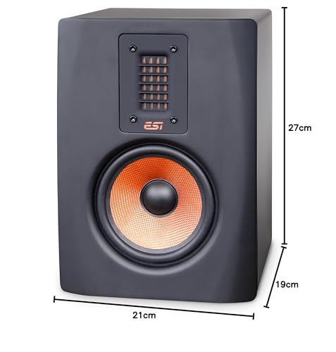 ESI unik 05+ | Professioneller aktiver 5-Referenz-Studiomonitor