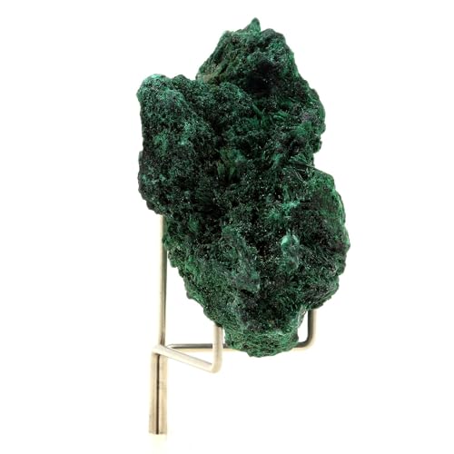 Malachite Katanga Congo 326.5 carats pierre brute collection lithothérapie - 3